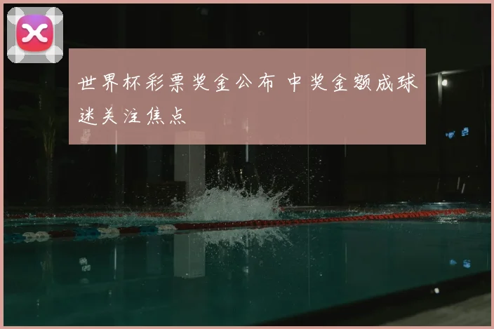 世界杯彩票奖金公布 中奖金额成球迷关注焦点