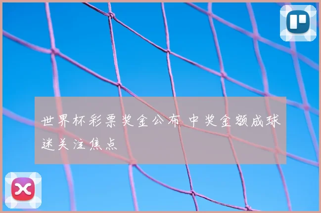 世界杯彩票奖金公布 中奖金额成球迷关注焦点