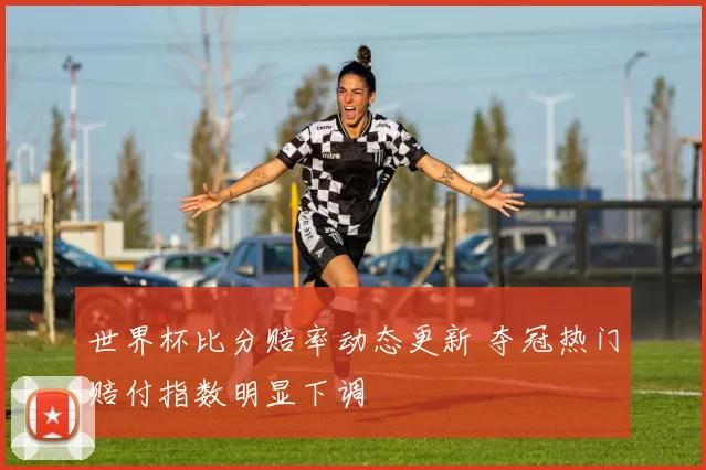 世界杯比分赔率动态更新 夺冠热门赔付指数明显下调