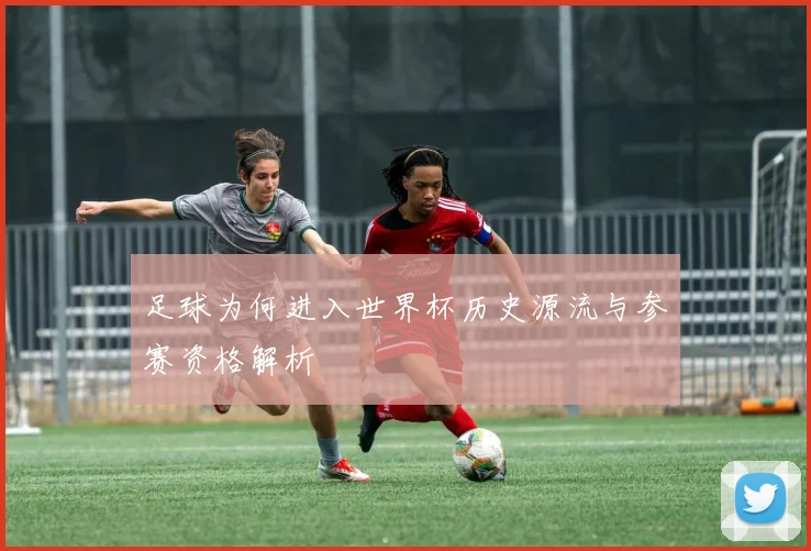 足球为何进入世界杯历史源流与参赛资格解析